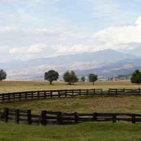 Actividad temática en Rancho la Mesa